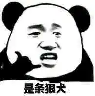 就让我在这冰天雪地里独自心碎表情包吓的小狗狗吃惊惊不能回神神了表情包图片下载乐游网游戏下载