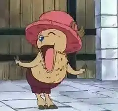 求海贼王里乔巴的图片