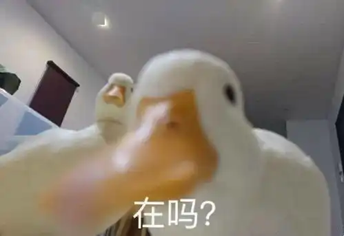 来点小可爱表情包