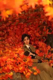 李冰冰怀抱小猪登2019开年封面,和猪猪做同款表情画面超有爱