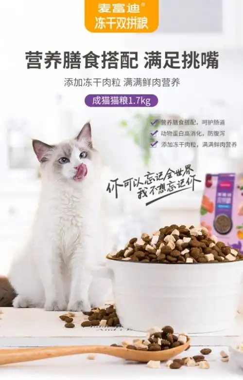 钟晓芹的猫找到了么关键时刻麦富迪给你借粮式友谊