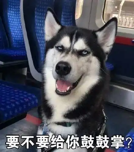 哈士奇柴犬搞笑表情包草