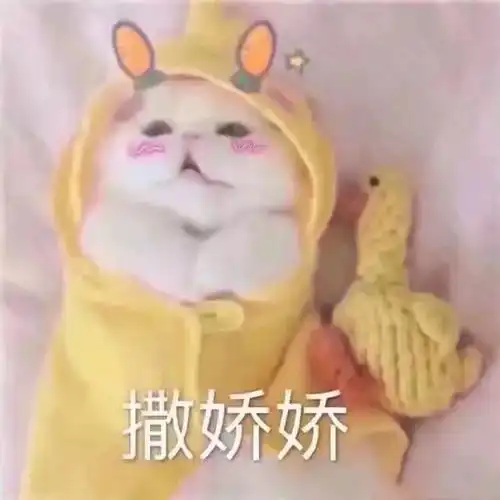 魔兽世界中那些戳中你泪点的人物2