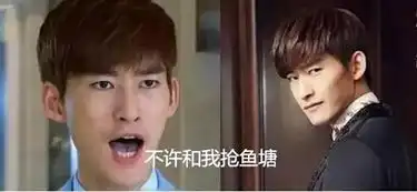 鱼塘塘主张翰与娜扎分手,下一个塘主夫人是谁,可能是最后一个