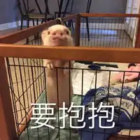 女人的脸型担当下巴撑起一片天