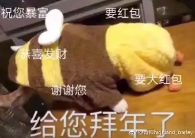 青稞highlandbarley的微博微博