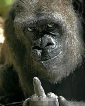 轻松一刻广场舞这么跳下去,蚌埠真的就蚌埠住了