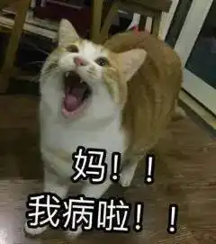 去你的妈的表情包哈哈哈