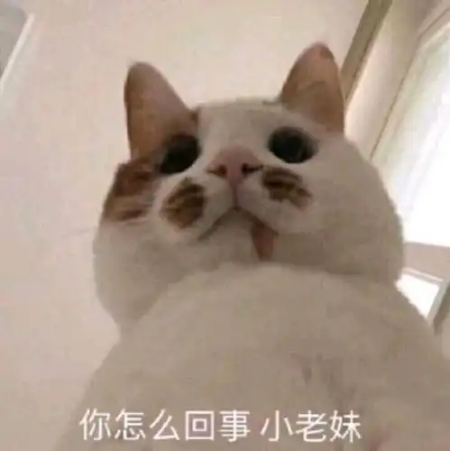 沙雕图片搞笑表情包沙雕