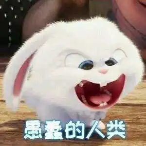 我的节操被一只反派的小兔子给吃掉了