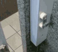 gif全国人民都知道你的蛋疼了