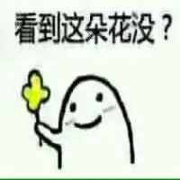 堆糖,美好生活研究所