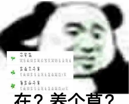 最流行搞笑的表情我朋友托我问你,需不需要我这样的男朋友