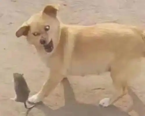 忘记切换小号的尴尬经历...哈哈哈哈哈哈救命笑死我了