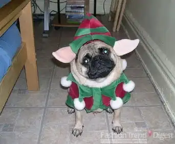 悲伤这么大表情包万圣节