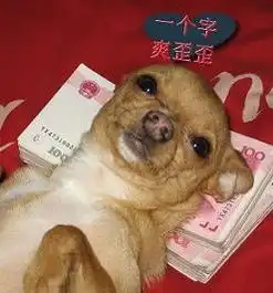 搞笑动物表情包动图欠费