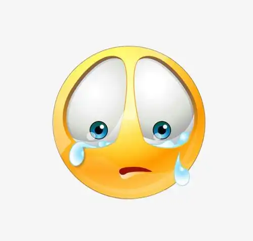 我曾经以为我在支持正版