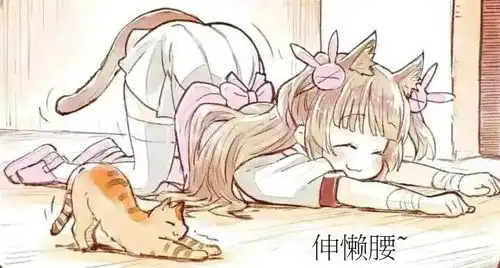 表情包和趣图大放送220