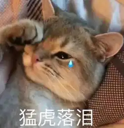 萌萌哒猫咪柔弱表情,还在为你的钢铁形象买单吗,改变时刻到了