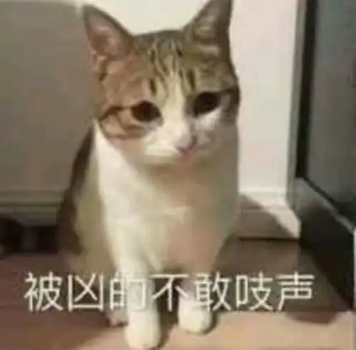 可爱表情包拿图片被凶的不吱声,低头认错