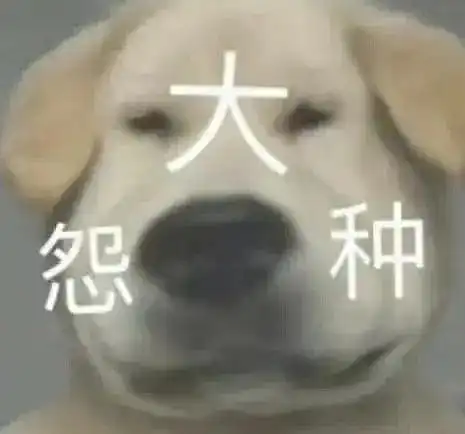 看了两天文章我累了