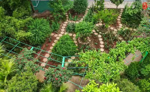 让小朋友羡慕的劳动课除草种菜观察蔬果,堪称现实版开心农场