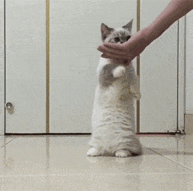 幽默段子看到男神发自拍照之后的表情