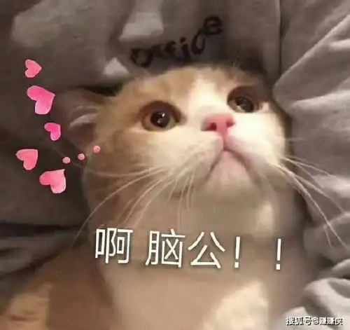 搞笑表情包图片你接着说