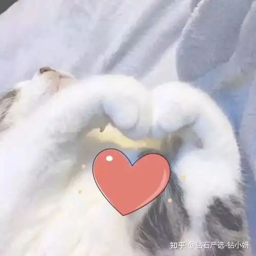 比心心表情包守国