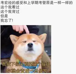 表情包与老师证件照齐飞人大考试周朋友圈生态