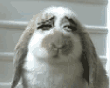 嗨评马总两会显神通企鹅的作业你不能抄