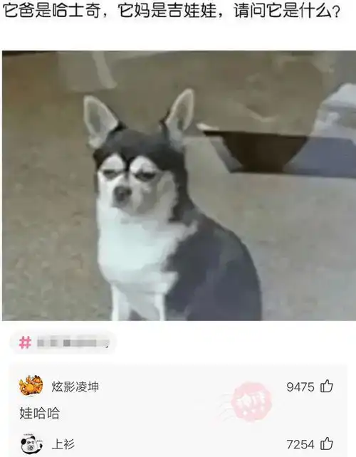 如果我把这把剑取走了,桥会不会有事哈哈哈神评亮了