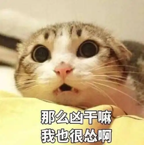 幽默笑话,刚才领着大姐家的小孩去买零食,路上看见了一块钱