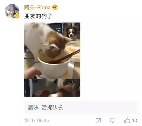 腹肌表情包图片里约