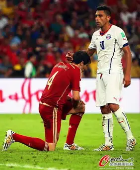 斗牛士军团沮丧表情