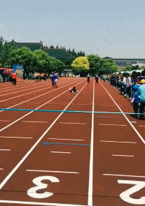 你知道张无忌为什么不专一吗看完这张图你就懂了没法选啊哈哈哈哈哈