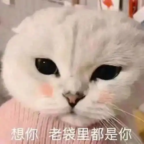 表情包想你想你,脑袋里都是你