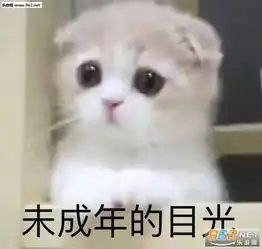 单身冠军熬夜冠军汤姆猫奖杯表情包图片我的cp这边请表情包下载乐游网游戏下载