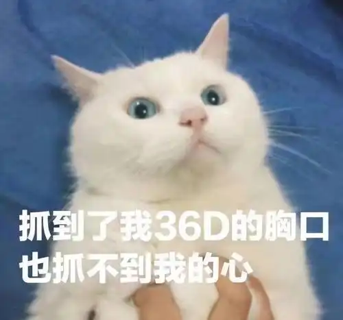 辟谣抱猫先拎脖,80的铲屎官都抱错了,很容易伤到猫咪