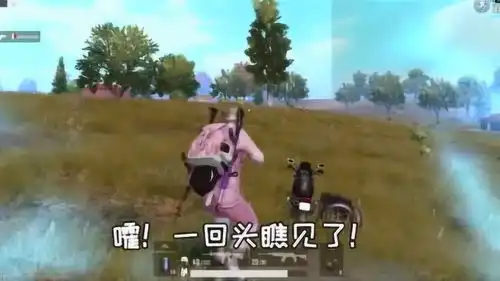 刺激战场随风再战国际服1人8杀挺进决赛圈,做最凶一头的猪