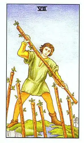 塔罗牌占卜表情包权杖七