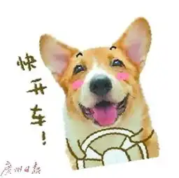 may皇表情包表情包