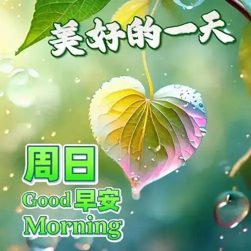 2024年6月23日农历五月十八祝福图片星期日最新问候美图周末愉快