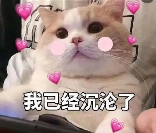 学霸扎堆湖南大学这个宿舍全体保研