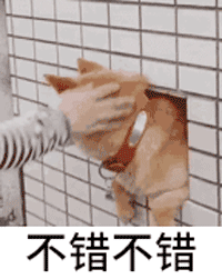 搞笑斗图表情包笑死人动