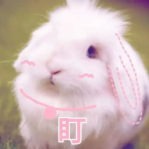 跟客户沟通必备表情包,不想被虐还不赶紧码