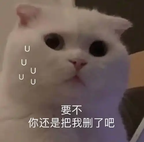 表情包大哥您辛苦了