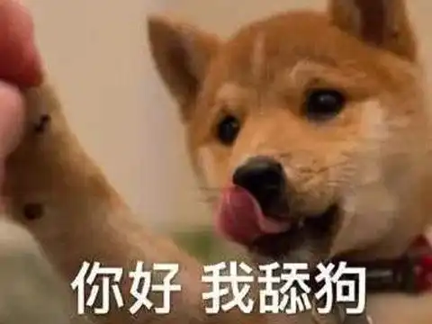 来追我啊表情包搞笑版舔狗