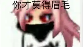 表情包第十三集对待装备要像对待情人一样