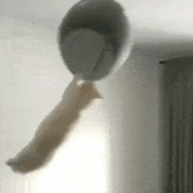 搞笑表情包别碰我我没生气